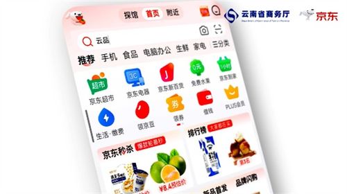 四季云品，產地云南 電商年貨節(jié)盛典啟幕，點燃新春消費熱情